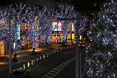港区,観光名所,六本木,ヒルズ,Roppongi Hills,夜景,ライトアップ,高層,ビル,キラキラ,夜,けやきざか,けやき坂,イルミネーション,イルミ,LED,illumination,冬,ブランド,ショッピング,ロマンチック