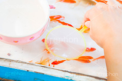 金魚すくい,金魚,きんぎょ,すくい,魚,夏祭り,祭り,出店,露店,屋台,夏,サマー,summer,festival,japan,夏休み,縁日,的屋,ポイ,遊び,ゲーム