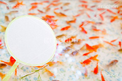 金魚すくい,金魚,きんぎょ,すくい,魚,夏祭り,祭り,出店,露店,屋台,夏,サマー,summer,festival,japan,夏休み,縁日,的屋,ポイ,遊び,ゲーム