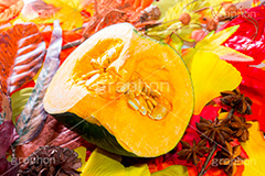 秋の味覚,かぼちゃ,カボチャ,南瓜,パンプキン,pumpkin,halloween,autumn,ハロウィン,秋,野菜,食材,皮,落ち葉