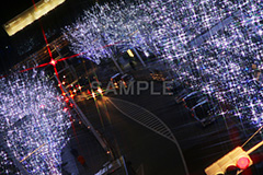 港区,観光名所,六本木,ヒルズ,Roppongi Hills,夜景,ライトアップ,高層,ビル,キラキラ,夜,けやきざか,けやき坂,イルミネーション,イルミ,LED,illumination,冬,ブランド,ショッピング,ロマンチック,クロスフィルタ