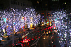 港区,観光名所,六本木,ヒルズ,Roppongi Hills,夜景,ライトアップ,高層,ビル,キラキラ,夜,けやきざか,けやき坂,イルミネーション,イルミ,LED,illumination,冬,ブランド,ショッピング,ロマンチック,クロスフィルタ