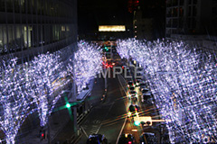 港区,観光名所,六本木,ヒルズ,Roppongi Hills,夜景,ライトアップ,高層,ビル,キラキラ,夜,けやきざか,けやき坂,イルミネーション,イルミ,LED,illumination,冬,ブランド,ショッピング,ロマンチック,クロスフィルタ
