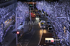 港区,観光名所,六本木,ヒルズ,Roppongi Hills,夜景,ライトアップ,高層,ビル,キラキラ,夜,けやきざか,けやき坂,イルミネーション,イルミ,LED,illumination,冬,ブランド,ショッピング,ロマンチック