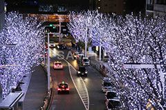 港区,観光名所,六本木,ヒルズ,Roppongi Hills,夜景,ライトアップ,高層,ビル,キラキラ,夜,けやきざか,けやき坂,イルミネーション,イルミ,LED,illumination,冬,ブランド,ショッピング,ロマンチック