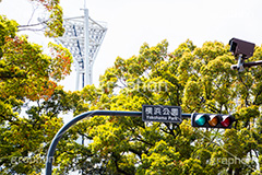 横浜公園入り口,入り口,横浜公園,横浜,公園,神奈川県,横浜DeNAベイスターズ,球場,横浜スタジアム,スタジアム,stadium,park,交差点,信号,日本大通り