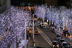 港区,観光名所,六本木,ヒルズ,Roppongi Hills,夜景,ライトアップ,高層,ビル,キラキラ,夜,けやきざか,けやき坂,イルミネーション,イルミ,LED,illumination,冬,ブランド,ショッピング,ロマンチック