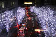 港区,観光名所,六本木,ヒルズ,Roppongi Hills,夜景,ライトアップ,高層,ビル,キラキラ,夜,けやきざか,けやき坂,イルミネーション,イルミ,LED,illumination,冬,ブランド,ショッピング,ロマンチック,クロスフィルタ