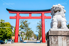 二の鳥居,鶴岡八幡宮,入口,若宮大路,段葛,徳川家綱,石造,神社,鎌倉,神奈川,観光,japan,狛犬,青空