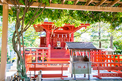 旗上弁財天社,鶴岡八幡宮,境内社,神社,源氏池,源頼朝,白旗,旗,奉納,旗挙げ,守護神,弁財天,源氏