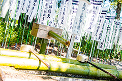 旗上弁財天社,鶴岡八幡宮,境内社,神社,源氏池,源頼朝,白旗,旗,奉納,旗挙げ,守護神,弁財天,源氏,手水舎,参拝