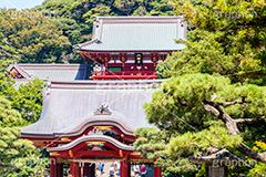 鶴岡八幡宮,神社,神奈川,鎌倉,国幣中社,武家源氏,観光,japan