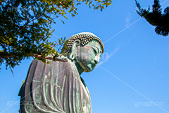 鎌倉大仏,大仏,鎌倉大仏殿高徳院,長谷の大仏,阿弥陀如来像,銅像,高徳院,こうとくいん,神奈川,鎌倉,長谷,浄土宗,寺院,寺,国宝,大異山,巨大,temple,japan,名所,青空