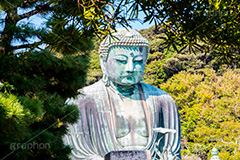 鎌倉大仏,大仏,鎌倉大仏殿高徳院,長谷の大仏,阿弥陀如来像,銅像,高徳院,こうとくいん,神奈川,鎌倉,長谷,浄土宗,寺院,寺,国宝,大異山,巨大,temple,japan,名所