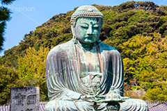 鎌倉大仏,大仏,鎌倉大仏殿高徳院,長谷の大仏,阿弥陀如来像,銅像,高徳院,こうとくいん,神奈川,鎌倉,長谷,浄土宗,寺院,寺,国宝,大異山,巨大,temple,japan,名所