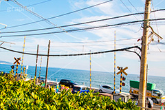 混雑する聖地,混雑,江ノ電,江ノ島電鉄,鎌倉,神奈川,踏切,踏み切り,海辺,アニメ,聖地,オープニング,電車,鉄道,train,電車/鉄道,名所,青空