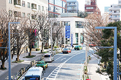 けやきざか,けやき坂,港区,六本木,ヒルズ,Roppongi Hills,ブランド,ショッピング