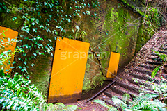 猿島,さるしま,無人島,東京湾,自然島,島,公園,神奈川県,横須賀,自然,史跡,伝説,レンガ造,レンガ,苔,コケ,空虚,名所