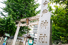 今戸神社,今戸八幡,神社,参拝,招き猫,まねき猫,縁結び,パワースポット,台東区,浅草,asakusa,japan,名所
