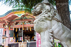 今戸神社,今戸八幡,神社,参拝,招き猫,まねき猫,縁結び,パワースポット,台東区,浅草,asakusa,japan,狛犬,守り神,名所