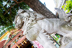 今戸神社,今戸八幡,神社,参拝,招き猫,まねき猫,縁結び,パワースポット,台東区,浅草,asakusa,japan,狛犬,守り神,名所
