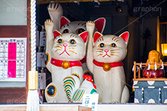 招き猫,まねき猫,今戸神社,今戸八幡,神社,参拝,縁結び,パワースポット,台東区,浅草,asakusa,japan,名所