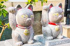 今戸神社,今戸八幡,神社,参拝,招き猫,まねき猫,縁結び,パワースポット,台東区,浅草,asakusa,japan,名所
