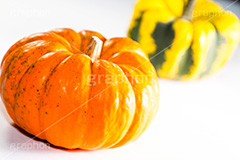 ミニカボチャ,ミニ,カボチャ,南瓜,パンプキン,ハロウィン,ジャックオランタン,ジャックオーランタン,秋,野菜,飾り,pumpkin,halloween,autumn