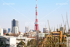 東京タワー,タワー,総合電波塔,電波,塔,日本電波塔,333m,とうきょうタワー,Tokyo Tower,港区,東京のシンボル,観光名所,ヒルズ,六本木,japan,六本木ヒルズ