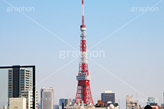 東京タワー,タワー,総合電波塔,電波,塔,日本電波塔,333m,とうきょうタワー,Tokyo Tower,港区,東京のシンボル,観光名所,ヒルズ,六本木,japan,六本木ヒルズ