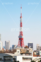 東京タワー,タワー,総合電波塔,電波,塔,日本電波塔,333m,とうきょうタワー,Tokyo Tower,港区,東京のシンボル,観光名所,ヒルズ,六本木,japan,六本木ヒルズ