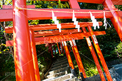 丸山稲荷社,鶴岡八幡宮,神社,神奈川,鎌倉,国幣中社,武家源氏,観光,japan,参拝,お参り,鳥居