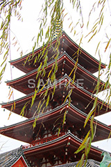 浅草,雷門,浅草寺,あさくさ,台東区,寺,お寺,参拝,お参り,東京都内最古,都内最古,五重塔,五重,五重の塔,塔,浅草 名所,浅草 観光,asakusa,japan,スポット,寺院