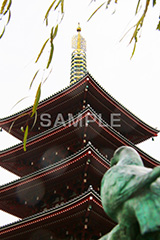 浅草,雷門,浅草寺,あさくさ,台東区,寺,お寺,参拝,お参り,東京都内最古,都内最古,五重塔,五重,五重の塔,塔,浅草 名所,浅草 観光,見上げ,asakusa,japan,スポット,寺院