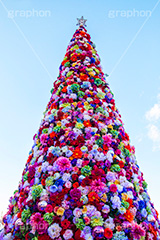 東京スカイツリータウンのクリスマスツリー,ツリー,施設,イルミネーション,イルミ,illumination,tree,電飾,電球,発光ダイオード,LED,冬,キラキラ,綺麗,きれい,キレイ,煌,輝,デート,スポット,都内,クリスマス,飾り,イベント,スカイツリー,東京スカイツリー,TOKYO SKYTREE,墨田区,押上,クリスマスツリー,ツリー,Christmas,flower,商業施設,行事,フラワー,花,solamachi,青空