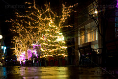 自由が丘イルミネーション,イルミネーション,イルミ,illumination,クリスマスツリー,tree,電飾,電球,発光ダイオード,LED,冬,キラキラ,綺麗,きれい,キレイ,煌,輝,デート,スポット,都内,クリスマス,自由が丘,CHRISTMAS,Xmas,飾り,デコレーション,イベント,目黒区,クロスフィルタ,行事,九品仏,ピンク,ゴールド,ワイングラス,gold,pink,JIYUGAOKA Mistral Lights
