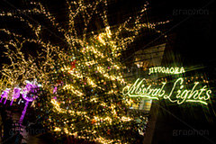 自由が丘イルミネーション,イルミネーション,イルミ,illumination,クリスマスツリー,tree,電飾,電球,発光ダイオード,LED,冬,キラキラ,綺麗,きれい,キレイ,煌,輝,デート,スポット,都内,クリスマス,自由が丘,CHRISTMAS,Xmas,飾り,デコレーション,イベント,目黒区,クロスフィルタ,行事,九品仏,ピンク,ゴールド,ワイングラス,gold,pink,JIYUGAOKA Mistral Lights