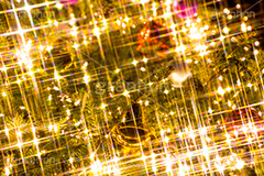光り輝くクリスマスツリー,クリスマスツリー,イルミネーション,イルミ,illumination,tree,電飾,電球,発光ダイオード,LED,冬,キラキラ,綺麗,きれい,キレイ,煌,輝,デート,クリスマス,CHRISTMAS,Xmas,ornament,bell,飾り,デコレーション,イベント,モミの木,もみの木,オーナメント,ベル