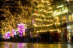 自由が丘イルミネーション,イルミネーション,イルミ,illumination,クリスマスツリー,tree,電飾,電球,発光ダイオード,LED,冬,キラキラ,綺麗,きれい,キレイ,煌,輝,デート,スポット,都内,クリスマス,自由が丘,CHRISTMAS,Xmas,飾り,デコレーション,イベント,目黒区,クロスフィルタ,行事,九品仏,ピンク,ゴールド,ワイングラス,gold,pink,JIYUGAOKA Mistral Lights