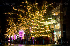 自由が丘イルミネーション,イルミネーション,イルミ,illumination,クリスマスツリー,tree,電飾,電球,発光ダイオード,LED,冬,キラキラ,綺麗,きれい,キレイ,煌,輝,デート,スポット,都内,クリスマス,自由が丘,CHRISTMAS,Xmas,飾り,デコレーション,イベント,目黒区,クロスフィルタ,行事,九品仏,ピンク,ゴールド,ワイングラス,gold,pink,JIYUGAOKA Mistral Lights