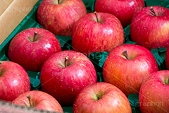 送られてきた林檎,りんご,リンゴ,林檎,フルーツ,果実,果物,fruit,apple,アップル,真っ赤,フレッシュ,fresh