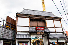 浅草花やしき,花やしき,遊園地,浅草,台東区,asakusa,日本最古,ローラーコースター,アトラクション,懐かしい,レトロ,風情