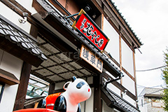 浅草花やしき,花やしき,遊園地,浅草,台東区,asakusa,日本最古,ローラーコースター,アトラクション,懐かしい,レトロ,風情