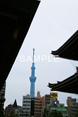 浅草寺＆スカイツリー,浅草,雷門,浅草寺,あさくさ,台東区,寺,お寺,参拝,お参り,東京都内最古,都内最古,スカイツリー,浅草寺とスカイツリー,浅草名所,東京スカイツリー,TOKYO SKYTREE,浅草 名所,浅草 観光,asakusa,japan,スポット,寺院,tower,タワー