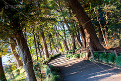 北の丸公園,千代田区,皇居,国民公園,公園,江戸城,千鳥ヶ淵公園,九段下,武道館,遊歩道,散歩,park,japan