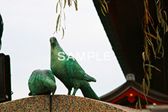 鳩の像,浅草,雷門,浅草寺,あさくさ,台東区,寺,お寺,参拝,お参り,東京都内最古,都内最古,鳩,銅像,鳩の銅像,モニュメント,二羽,２羽,2羽,浅草 名所,浅草 観光,asakusa,japan