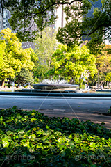 日比谷公園の噴水,噴水,日比谷公園,千代田区,日比谷,公園,都立公園,霞が関,有楽町,都会,オアシス,休憩,park,fountain,名所
