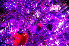 ピンクに輝くクリスマスツリー,クリスマスツリー,イルミネーション,イルミ,illumination,tree,電飾,電球,発光ダイオード,LED,冬,キラキラ,綺麗,きれい,キレイ,煌,輝,クリスマス,CHRISTMAS,Xmas,ornament,present,pink,飾り,デコレーション,イベント,オーナメント,ピンク,雨,雨粒
