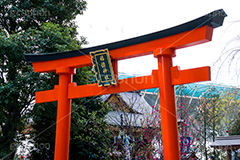 福徳神社の鳥居,福徳神社,鳥居,神社,参拝,お参り,稲荷,芽吹神社,お稲荷さん,日本橋,中央区,tokyo,東京,japan