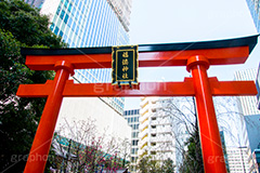 福徳神社の鳥居,福徳神社,鳥居,神社,参拝,お参り,稲荷,芽吹神社,お稲荷さん,日本橋,中央区,tokyo,東京,japan